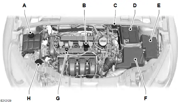 Ford Focus. Entretien